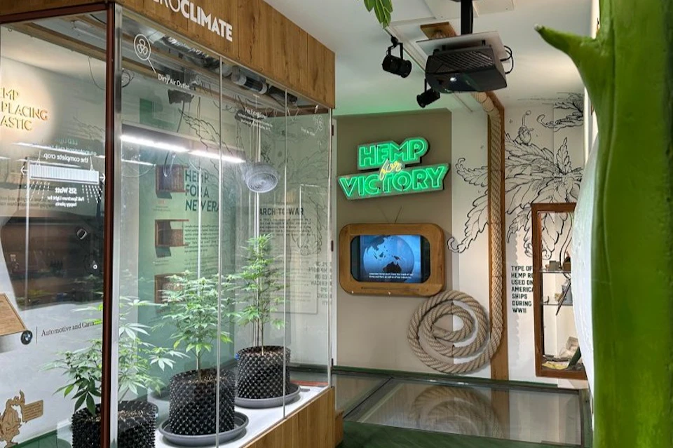 Cannabis Museum Amsterdam
