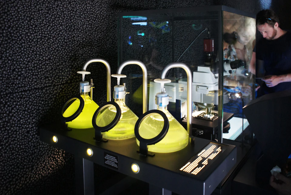 ARTIS Micropia